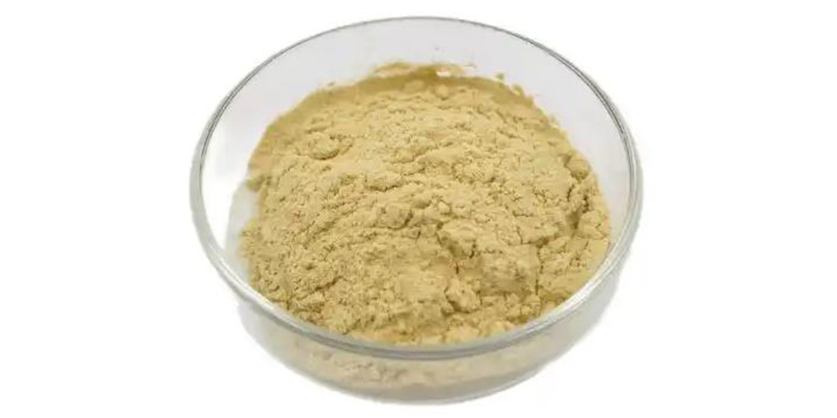 Animal Feed Additives Companies in Europe Buy animal feed additives